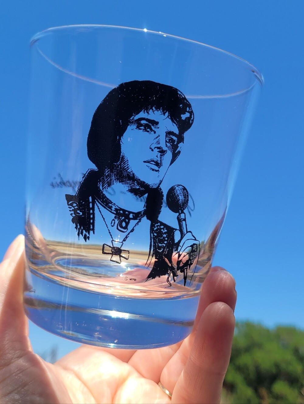 1978 Elvis Presley Graceland- Memphis Cocktail Glass
